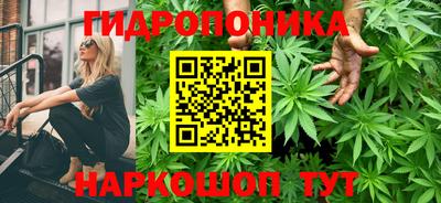 прущие крисы Бузулук
